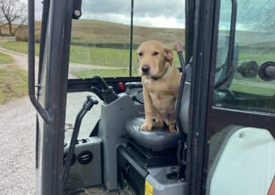 pd groundwork s and landscaping facebook gallery 26